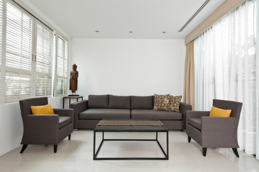 Bright Living room with grey sofa